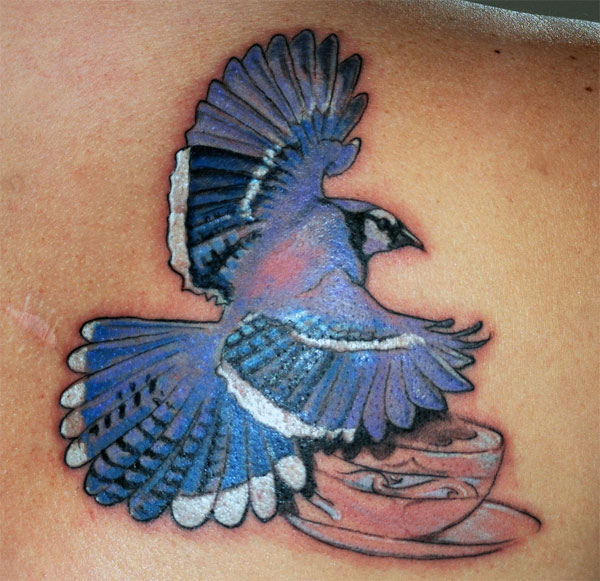 Blue Jay Tattoo.
