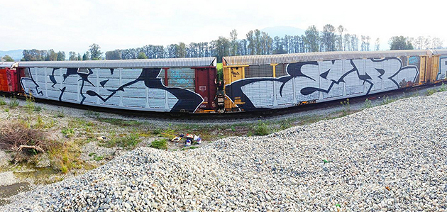 keep6 double autorack wholecar keep6 double autorack wholecar