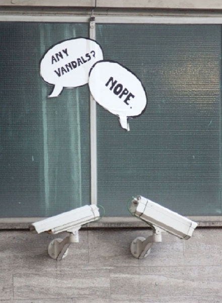 vandal security cameras