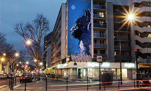 C215 in Paris