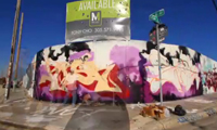 David Choe & Risk