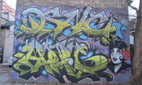 DSNC & Mozie Graffiti in Toronto