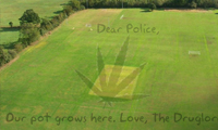 Police Uncover Grow Farm Using Google Earth