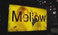 Posterchild – Mellow Yellow New York City