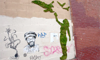 Street Art Created with Moss