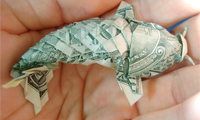 Currency Koi Fish